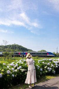 あじさいとスーパーはくと等の車両と一緒に写真も残せます!